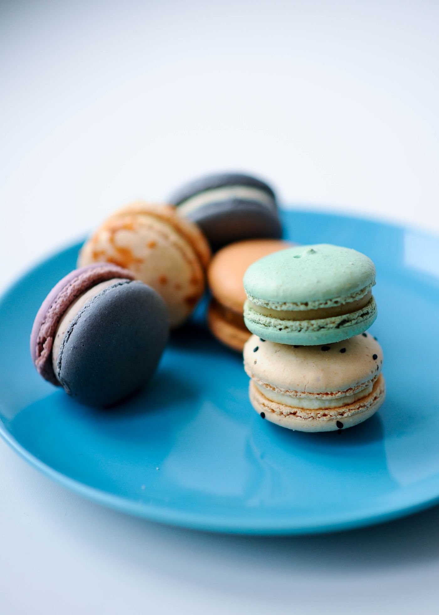 Blue and Violet Macaron Shells