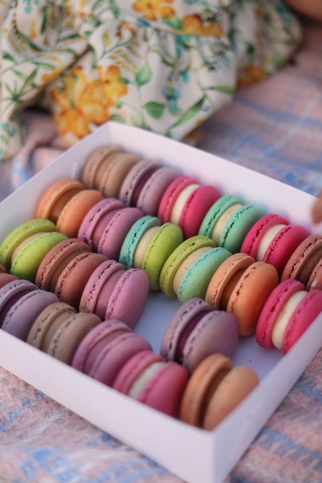 Pastel French Macarons