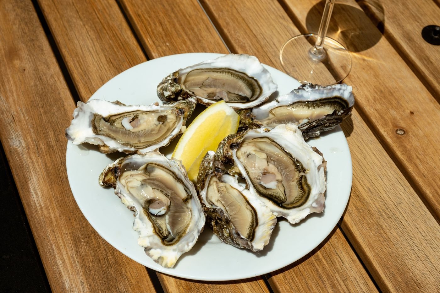 Oysters on the Half Shell