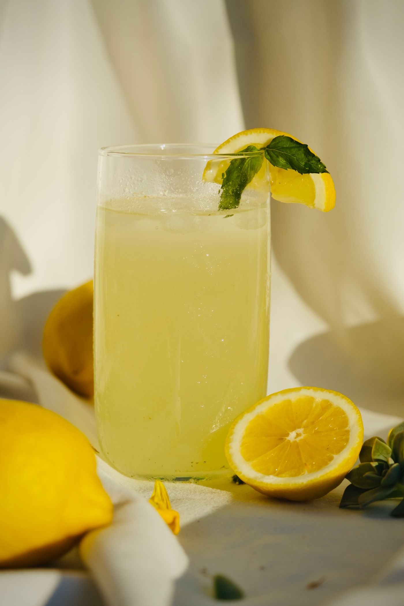 Fresh Mint Lemonade