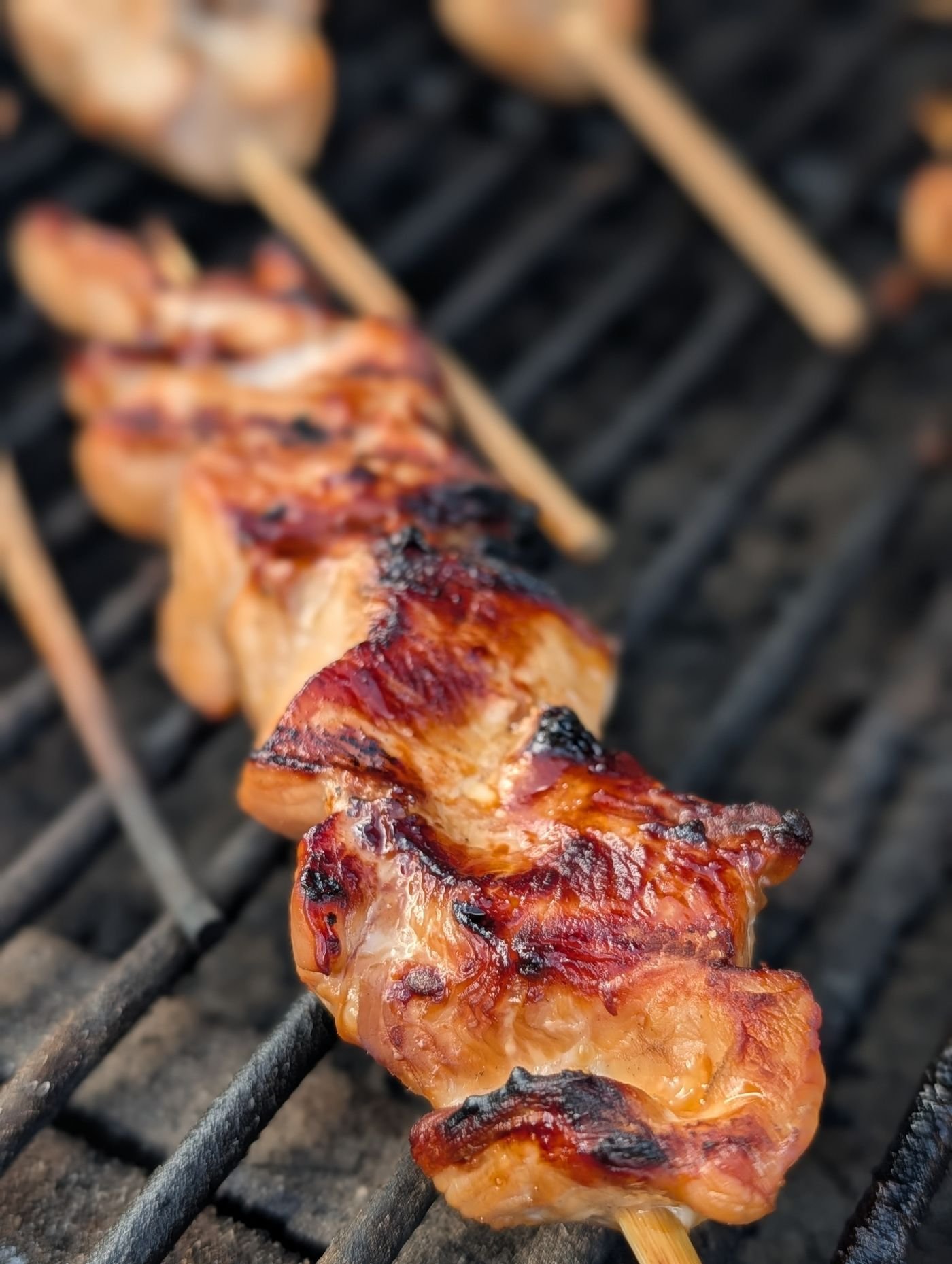 Charred Chicken Skewers