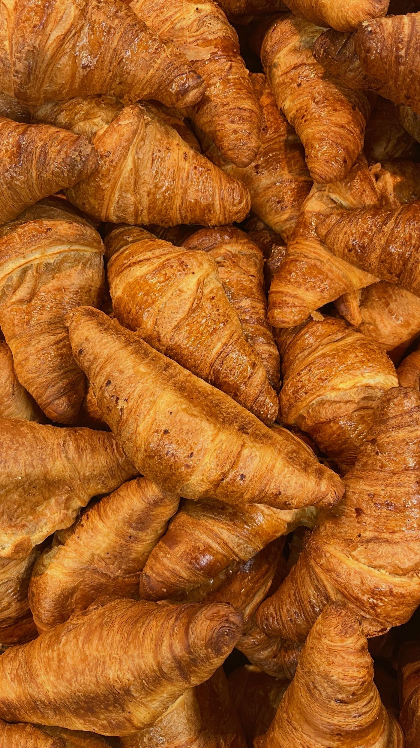 Classic Butter Croissants