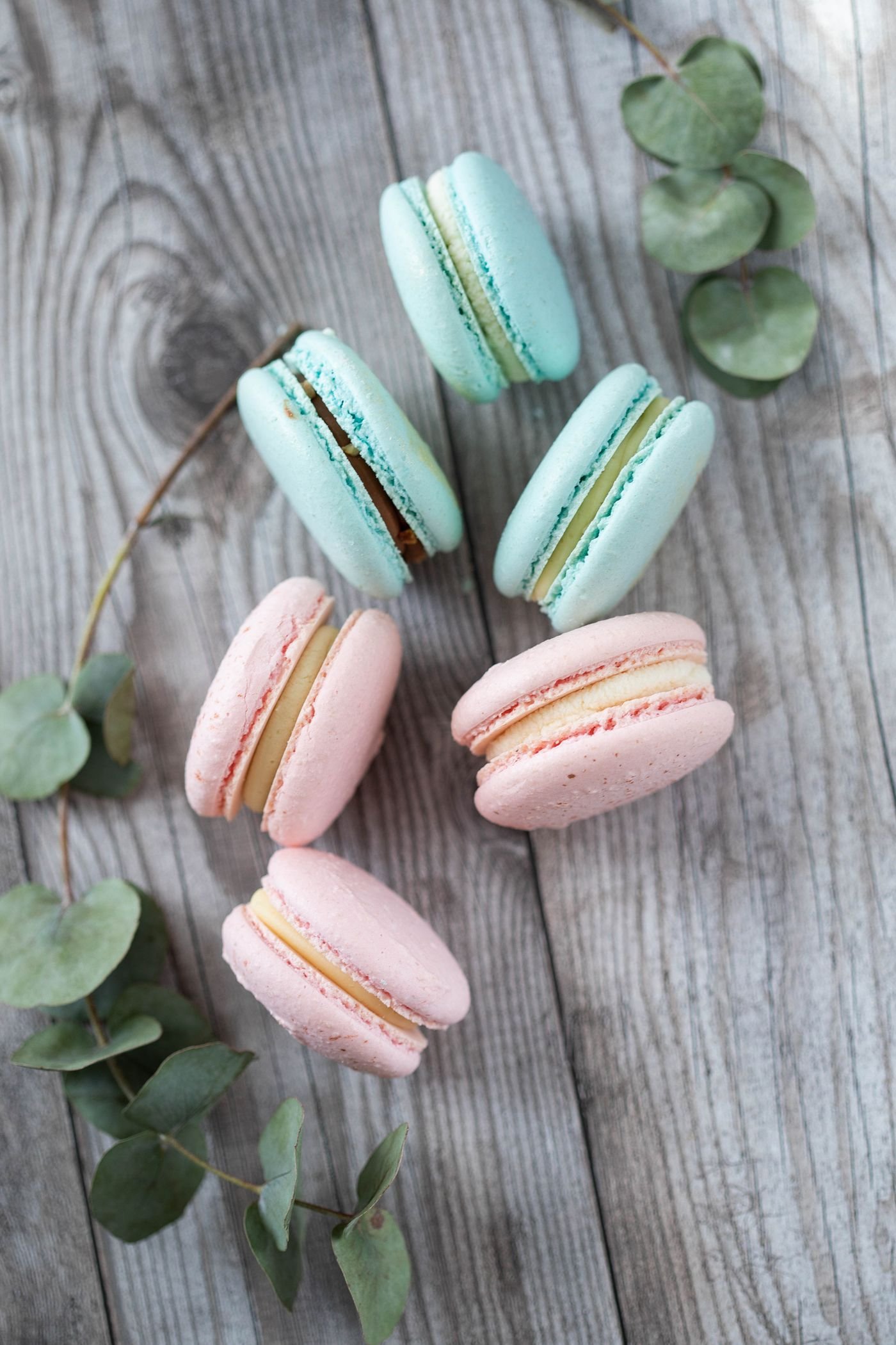 Pink and Mint Macarons