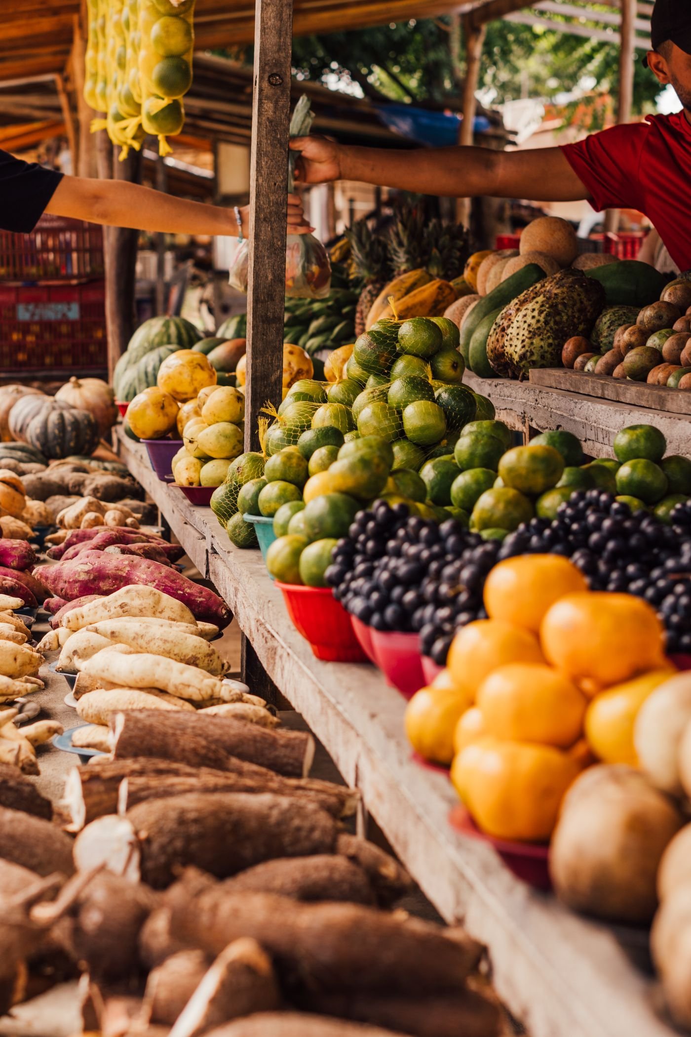 Market stall of citrus and squash